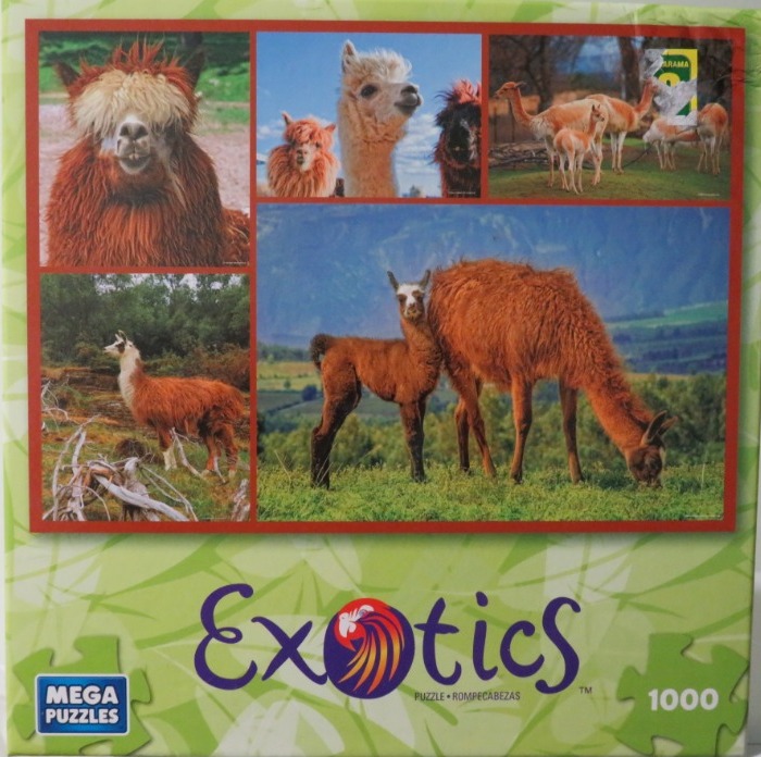 Collage of various llamas and alpacas in mountain and field settings