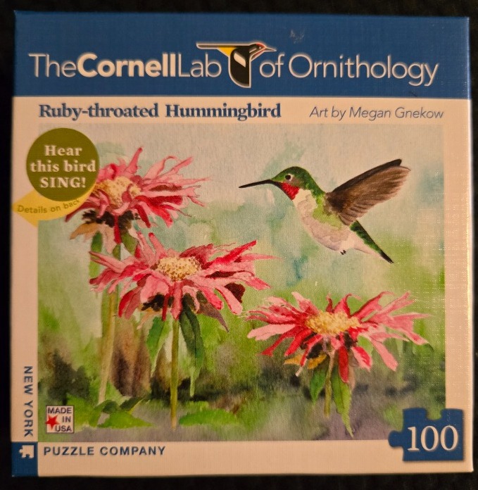 A watercolor illustration of a ruby-throated hummingbird hovering over vibrant pink bee balm flowers.