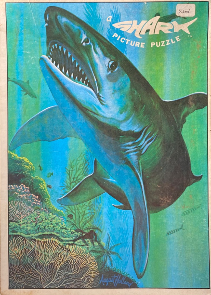 A large shark swimming through green underwater depths past a vibrant coral reef