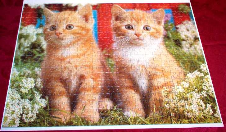 Two orange tabby kittens sitting side by side in a field of white flowers.
