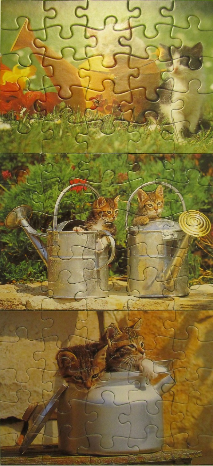 A vertical triptych photograph featuring six kittens playing in and around garden watering cans and a tea kettle.