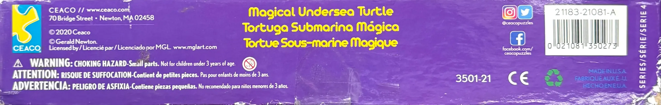 Magical Undersea Turtle