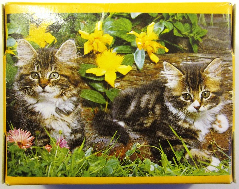 Two fluffy tabby kittens resting in a garden with bright yellow flowers.