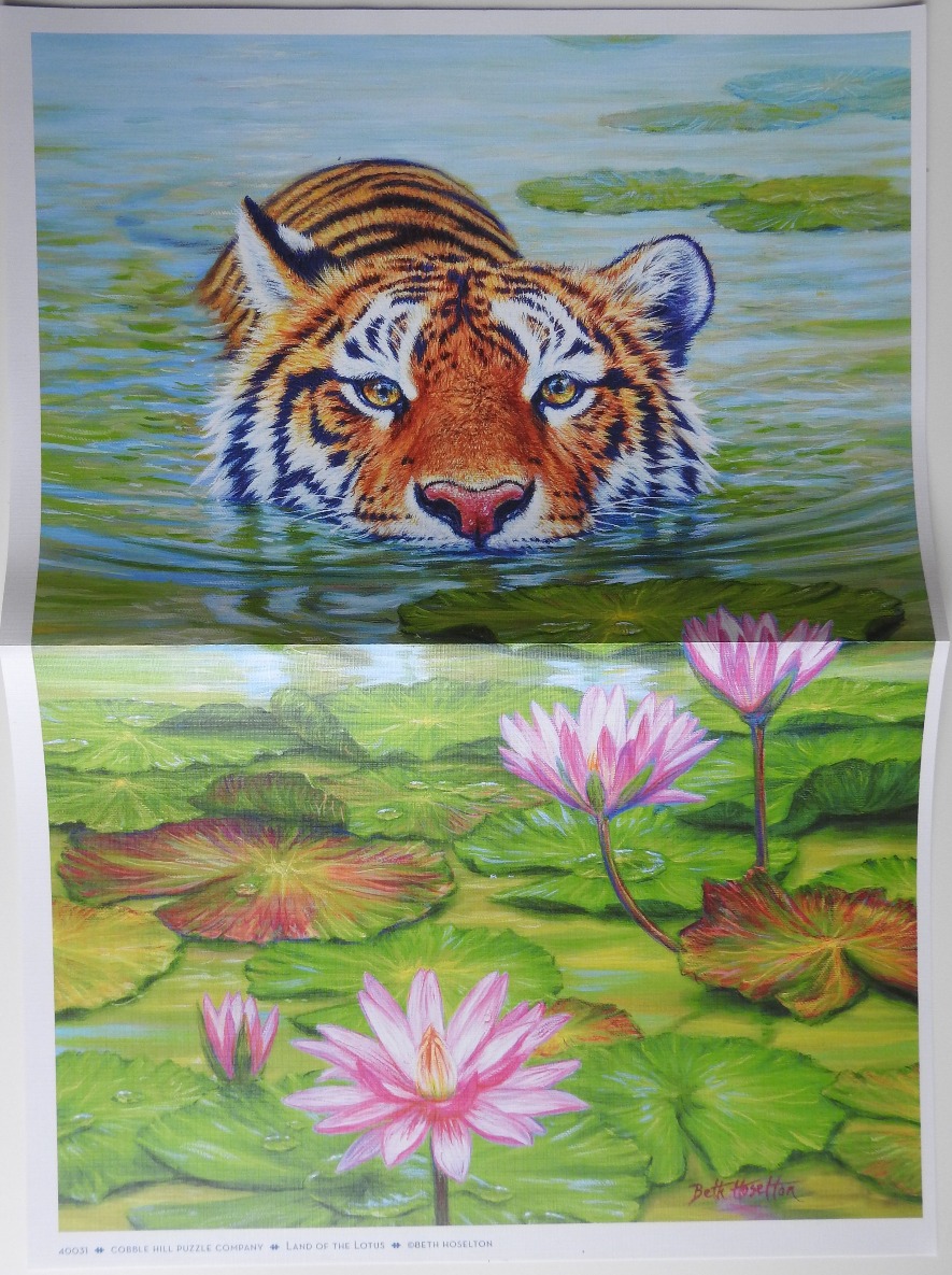 A tiger swims through a pond filled with vibrant pink lotus flowers and green lily pads.