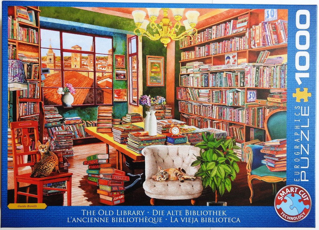An illustration of a cozy, cluttered old library with two cats, tall bookshelves, and a window overlooking a cityscape.