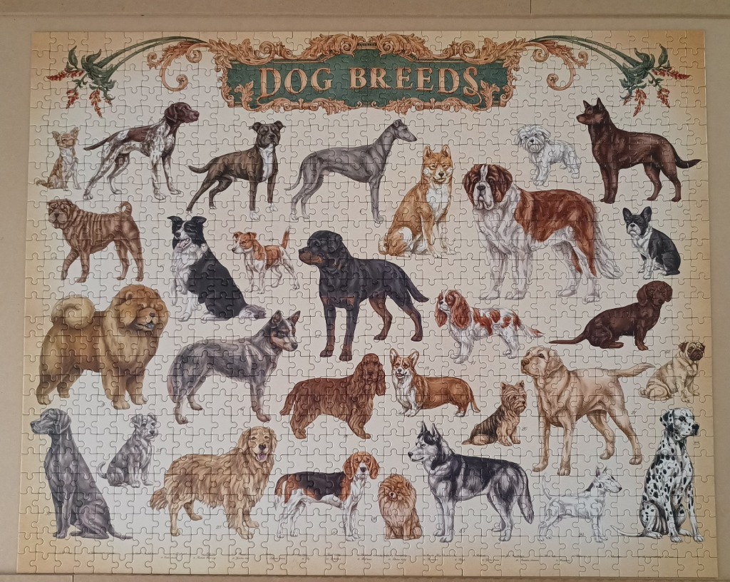 An illustrated chart displaying various dog breeds arranged in a grid against a neutral background.