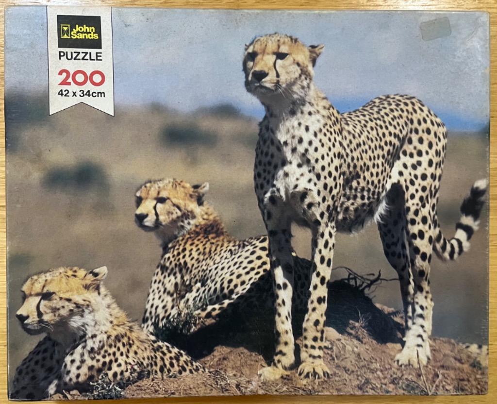 Three cheetahs in an African savanna landscape.