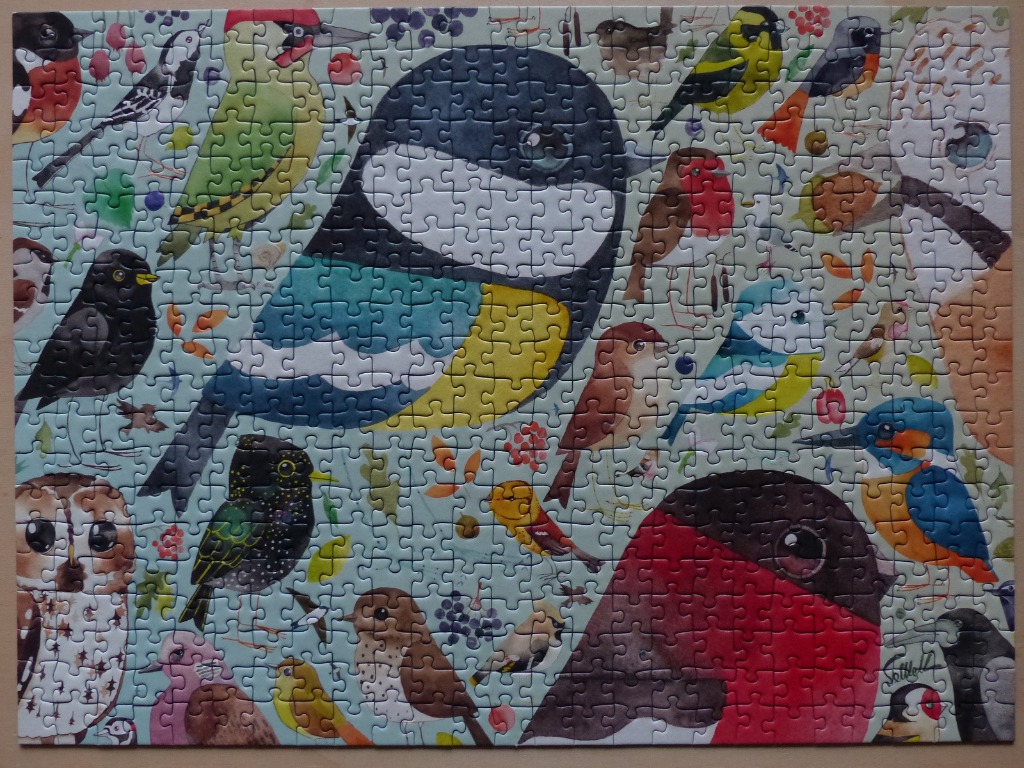 A whimsical illustration of many different bird species crowded together on a light green background.