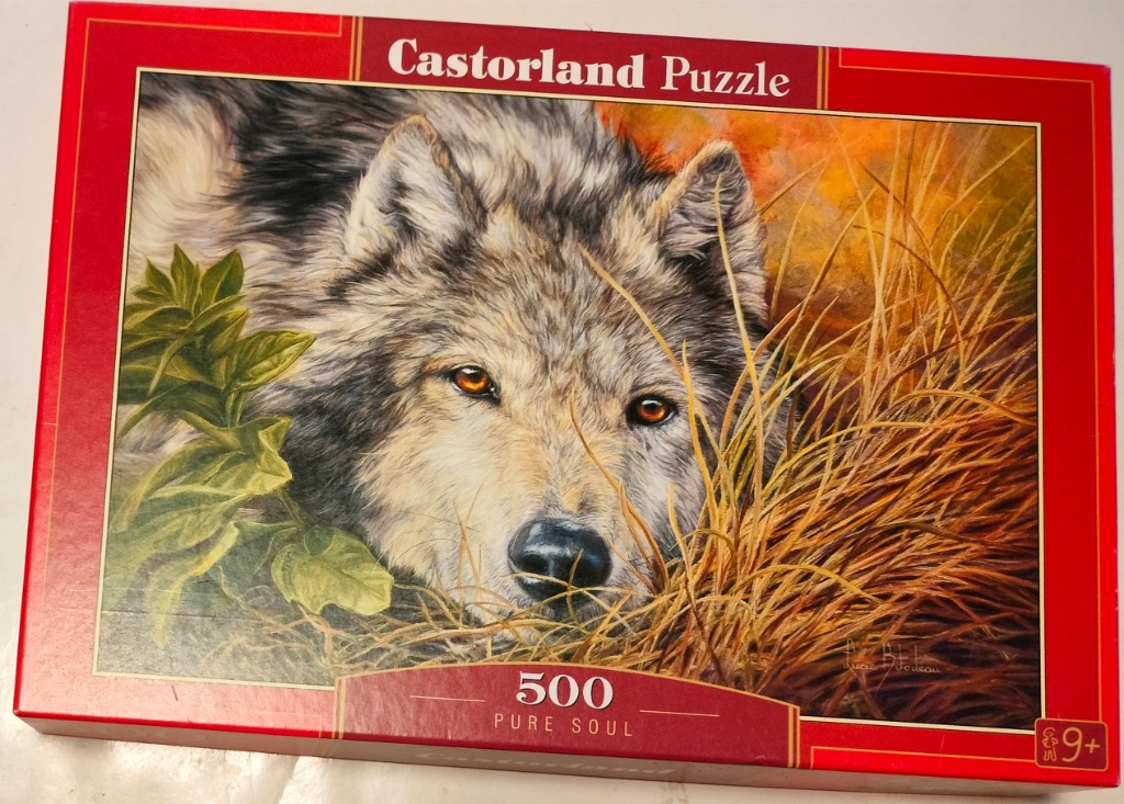 A close-up illustration of a wolf peering through tall golden grasses and green foliage.