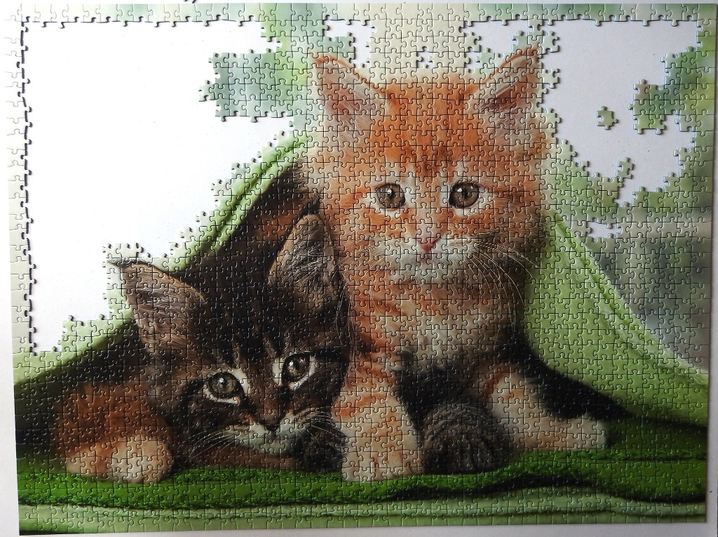 Blanket Buddies