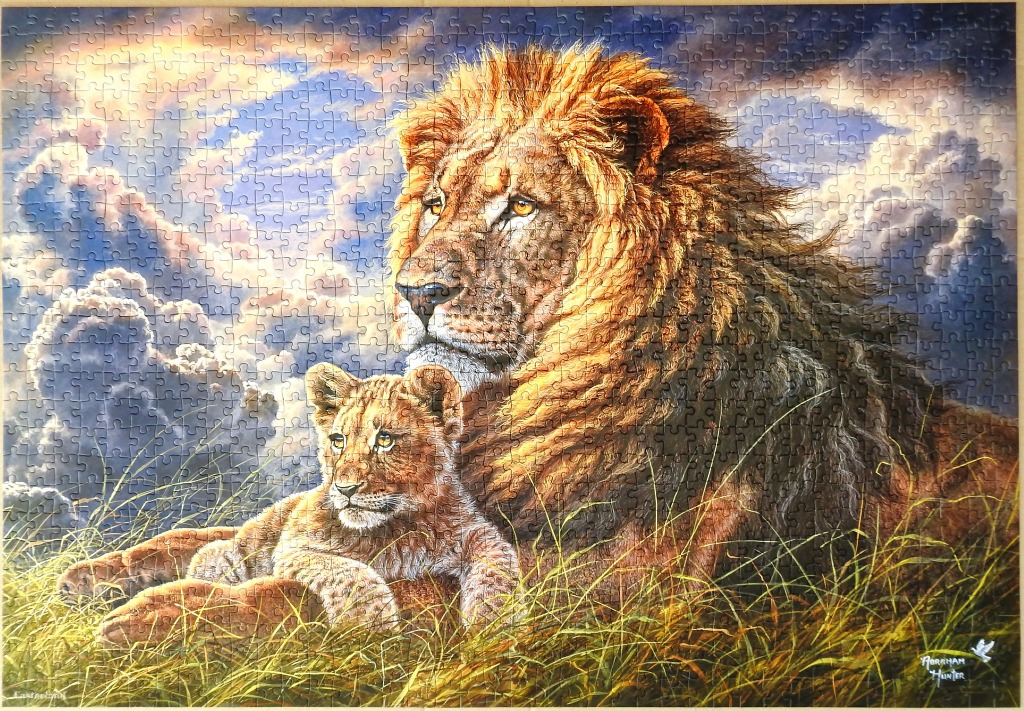A male lion and his cub resting together in tall grass against a dramatic cloudy sunset sky.