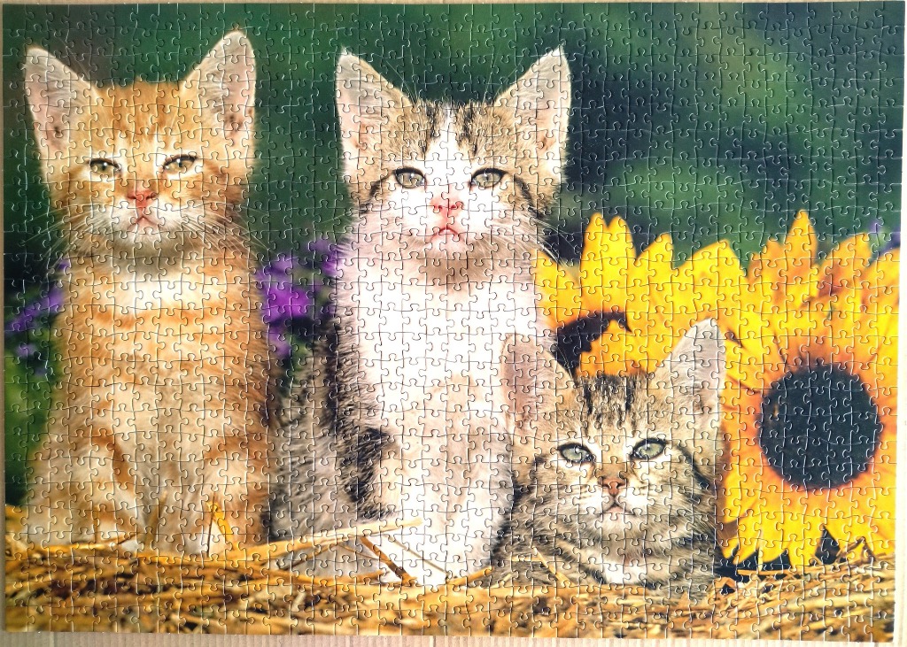 Three kittens sitting in a patch of hay with sunflowers in the background.