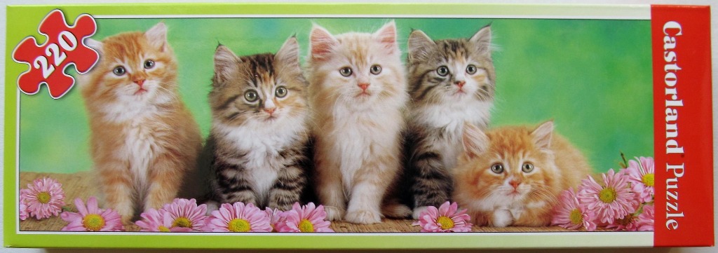 Five fluffy kittens sitting in a row among pink flowers against a green background.