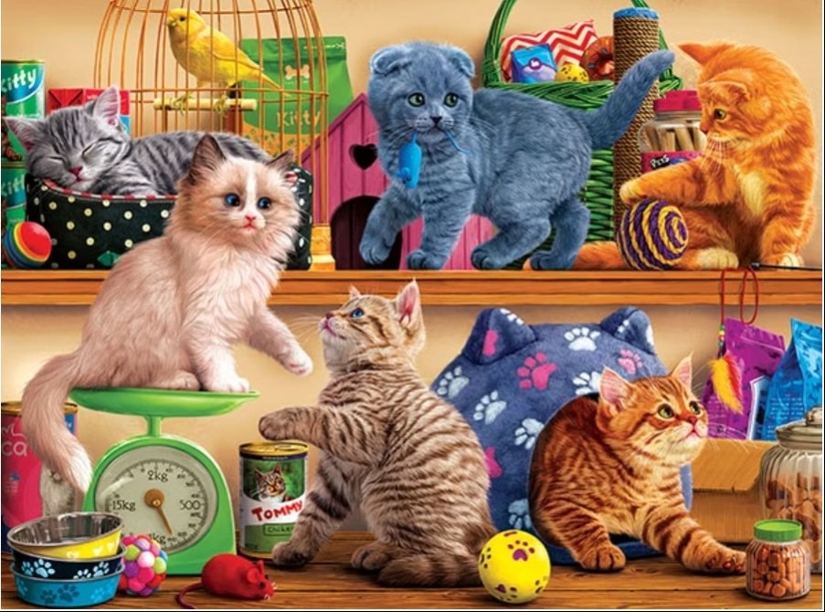 Seven kittens playing in a room filled with pet supplies and toys.