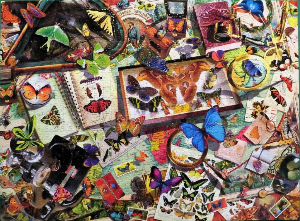 A vibrant collage featuring numerous species of butterflies, moths, magnifying glasses, and vintage scientific materials.