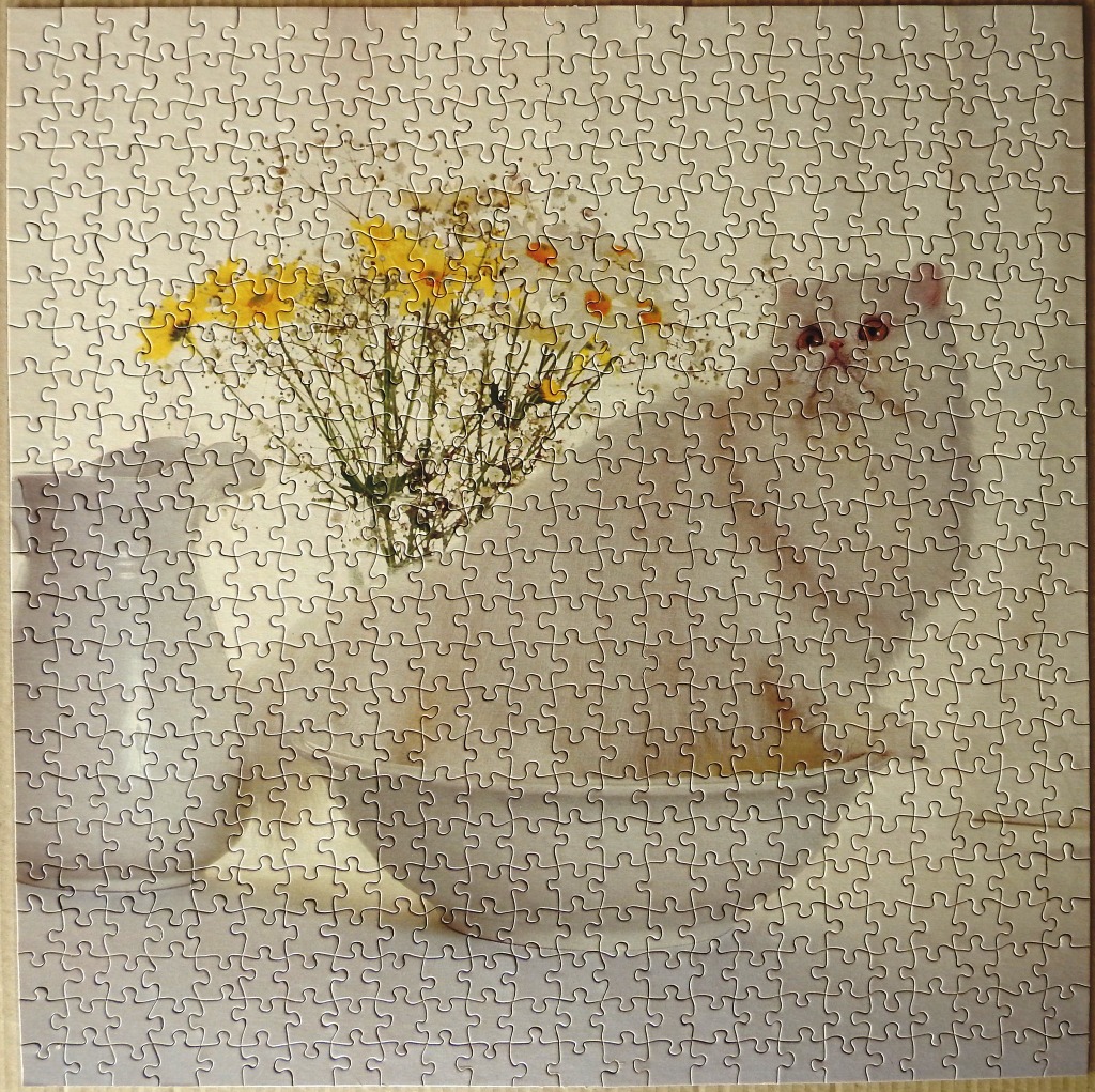A fluffy white cat sits next to a bowl of yellow wildflowers and a ceramic pitcher on a light surface.