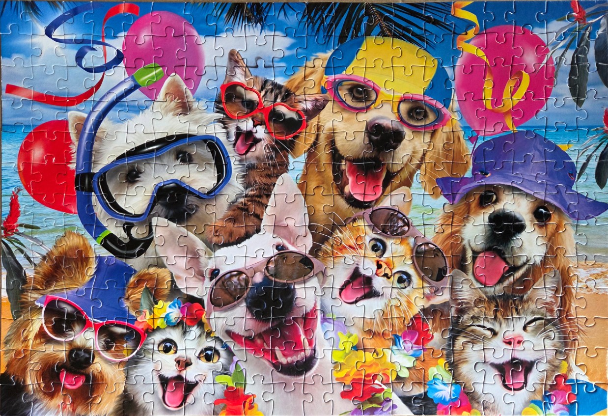 A group of dogs and cats wearing beach gear and sunglasses at the beach.