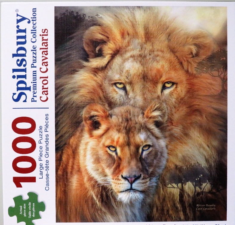 Close-up portrait of a lion and a lioness in a warm, artistic wildlife scene