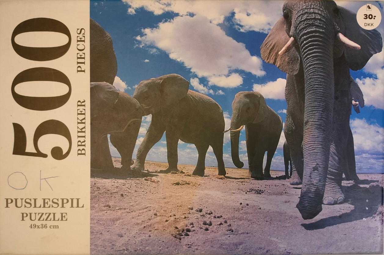 A low-angle photograph of a small herd of elephants walking toward the viewer on an arid, dusty plain.