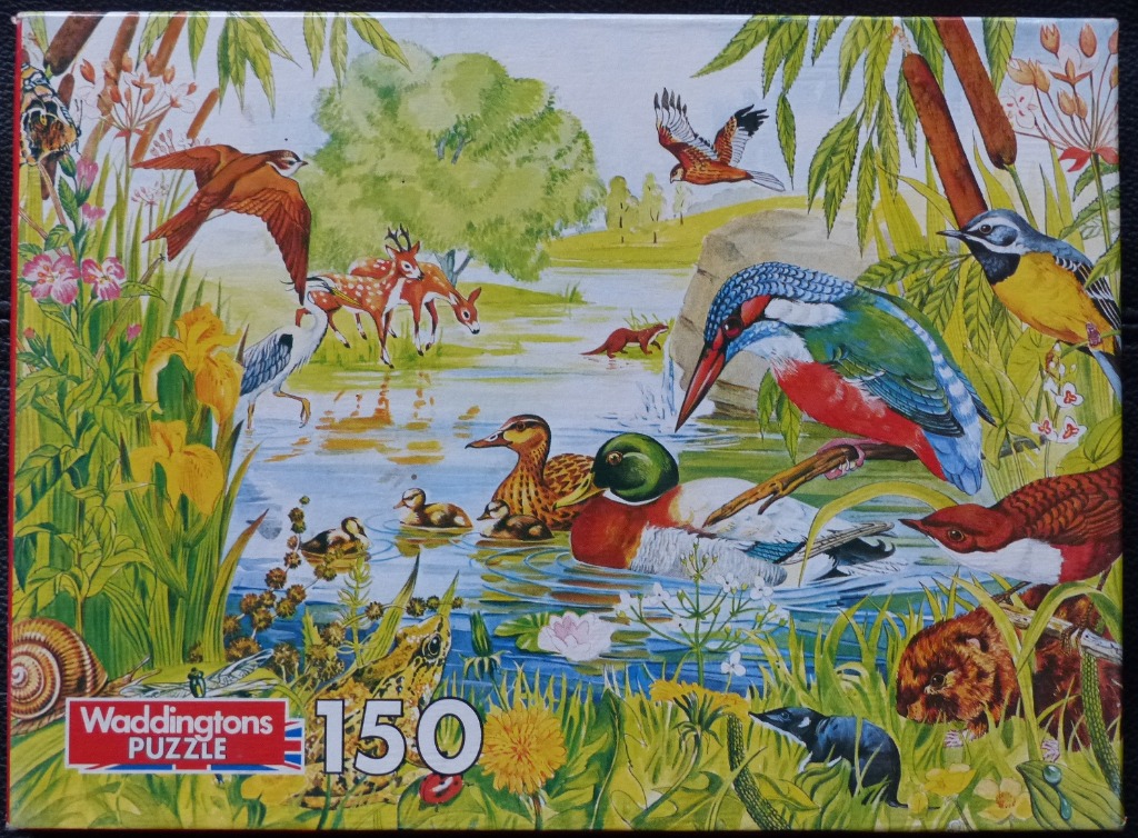 An illustrated wildlife scene featuring a kingfisher, mallards, and deer by a pond.