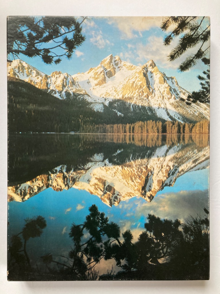 A reflection of snowy mountain peaks in a calm alpine lake, framed by pine tree branches.