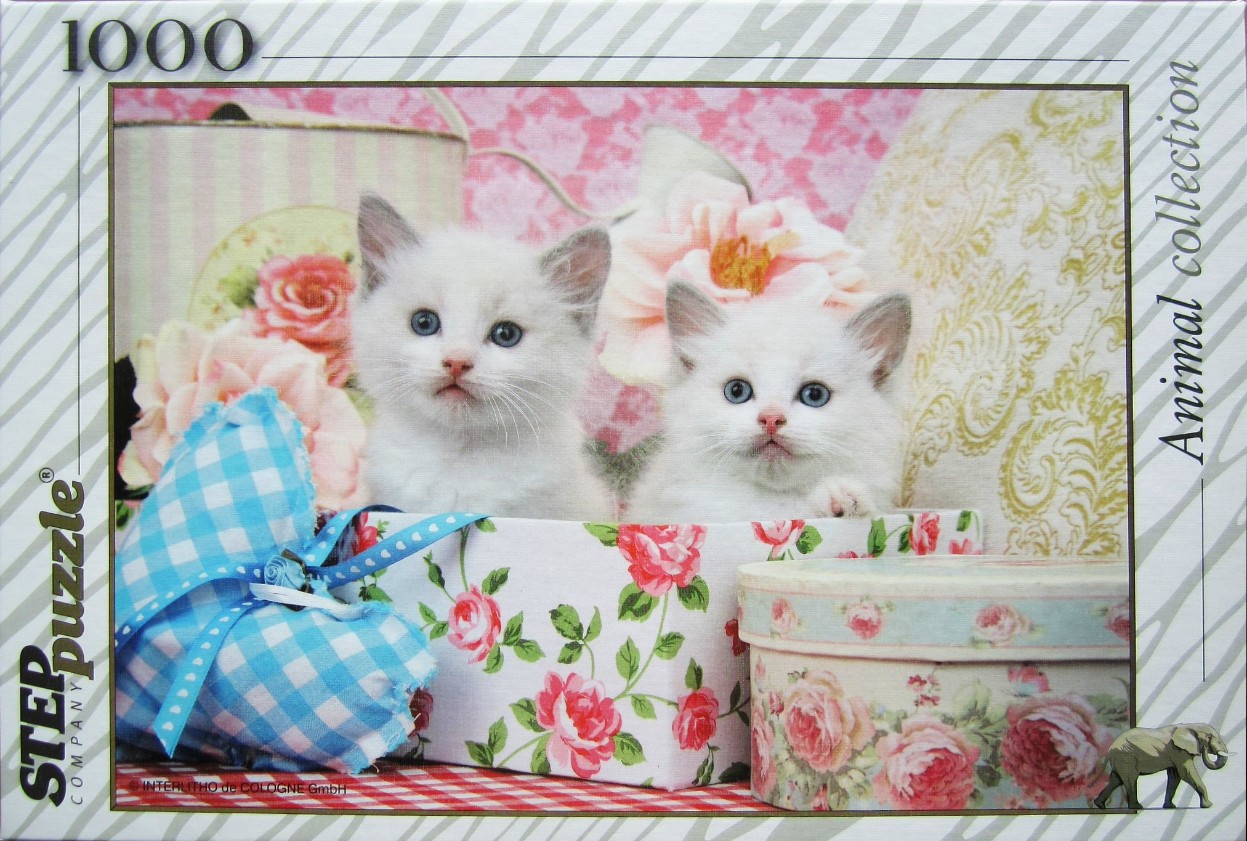 Two fluffy white kittens sitting in a rose-patterned gift box with floral decorations and a blue gingham heart.