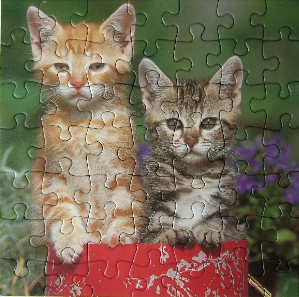 Two kittens, one orange tabby and one grey tabby, sitting together in a red box against a blurred garden background.