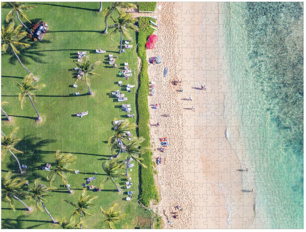 Aerial view of a sunny beach resort with palm trees, a green lawn, sandy shore, and turquoise water.
