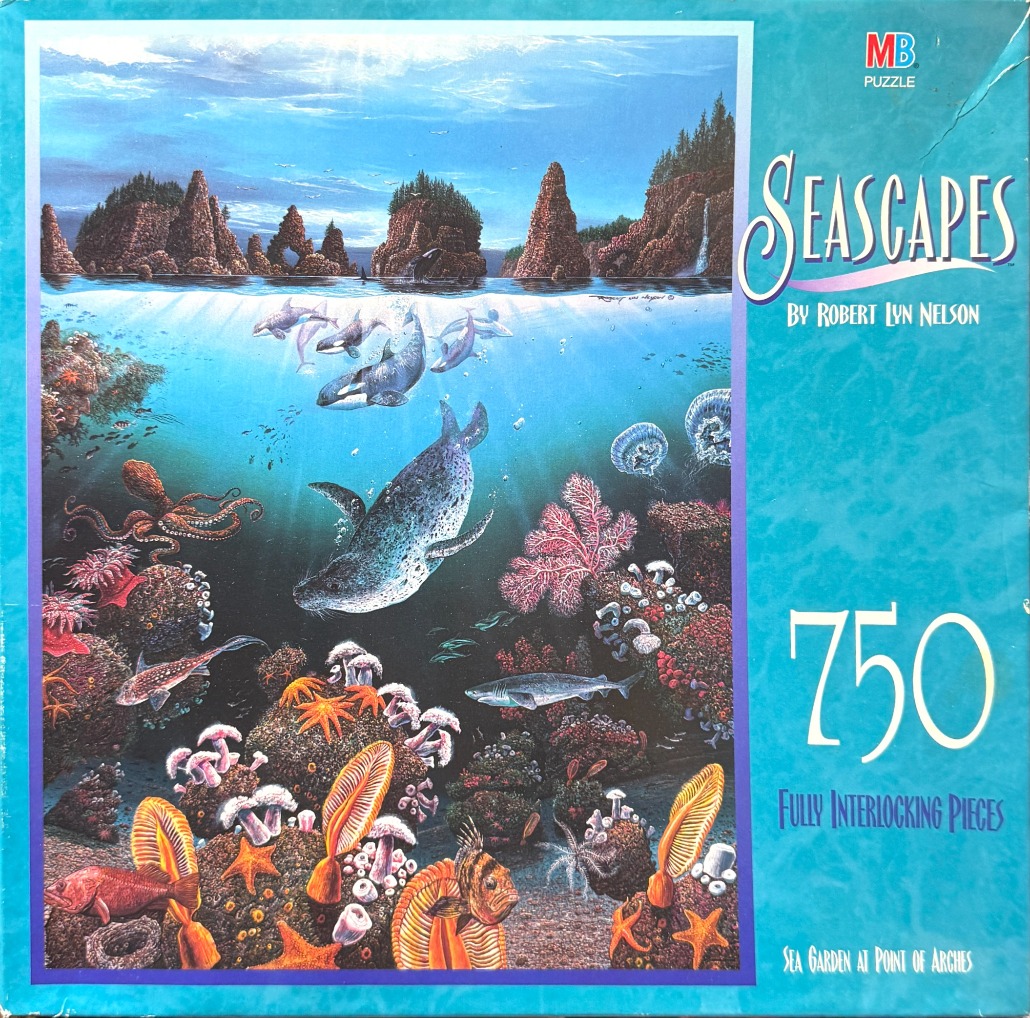 An underwater scene featuring orcas, a seal, and a vibrant coral reef beneath a rocky coastline.