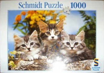 Three fluffy kittens with grey, white, and brown fur sitting on a log outdoors.
