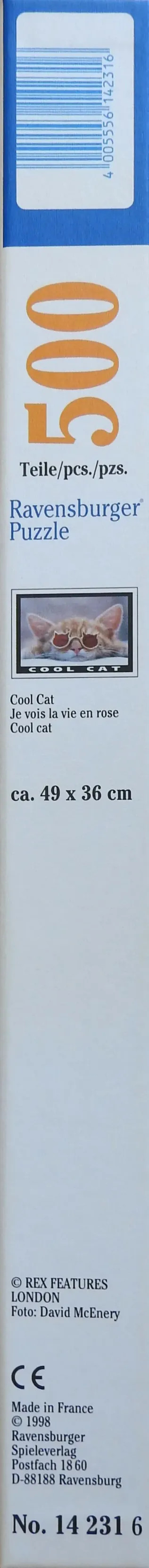 Cool Cat