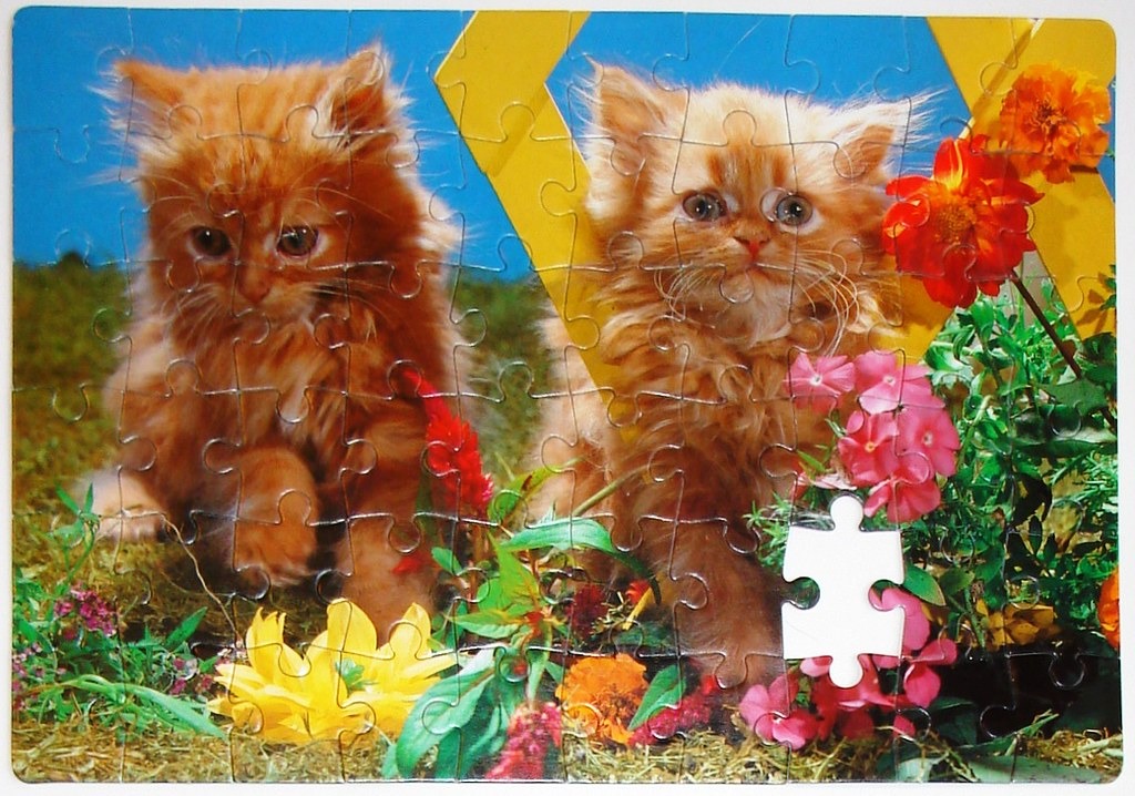 Two fluffy orange kittens sitting in a vibrant garden with colorful flowers.