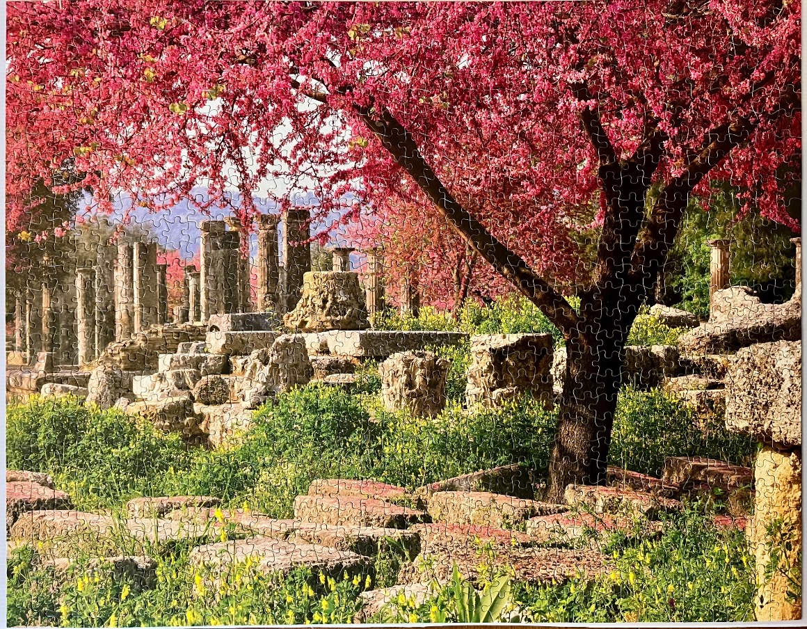 A lush tree with vibrant pink blossoms overhanging ancient stone ruins and columns.