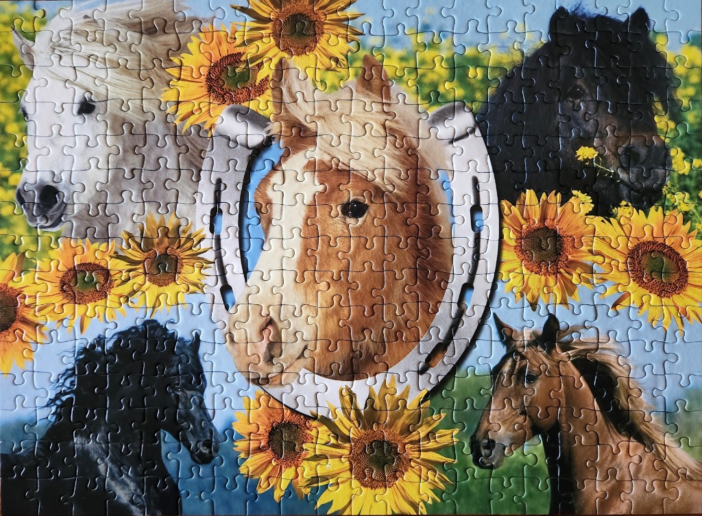 Five horses of various colours framed by sunflowers and a central horseshoe