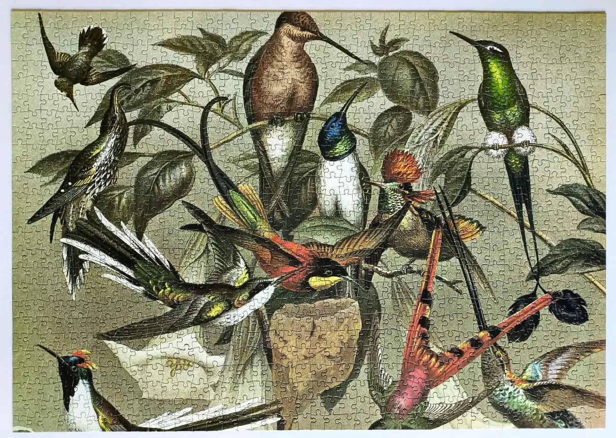 A vintage-style illustration featuring multiple vibrant hummingbirds perched and in flight among lush tropical foliage.