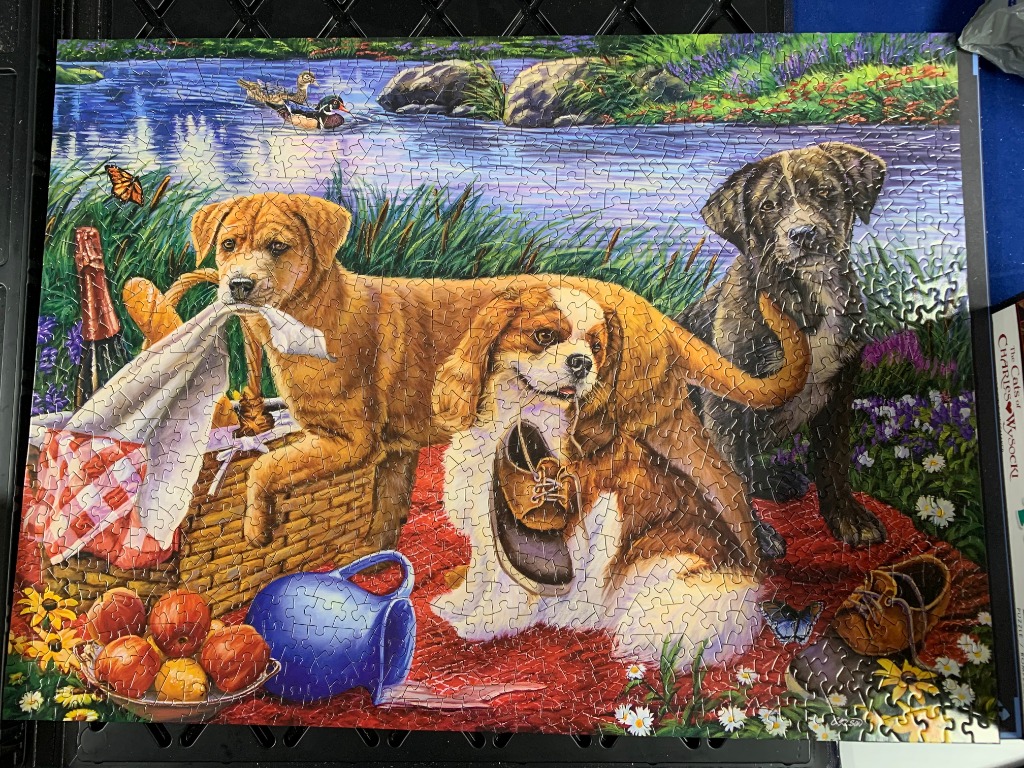 Illustration of three dogs at a lakeside picnic with a wicker basket and fruit.