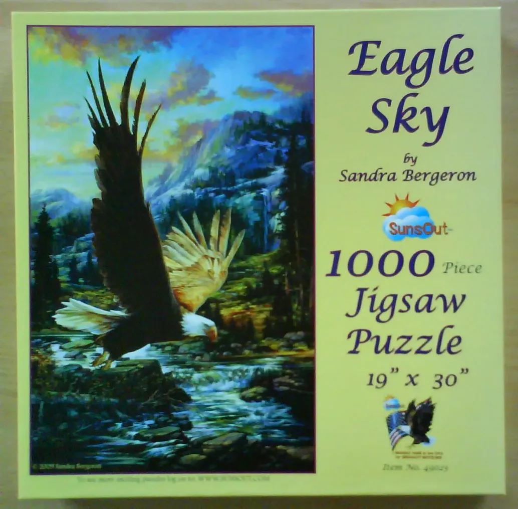 A bald eagle in flight over a mountain stream at sunset.