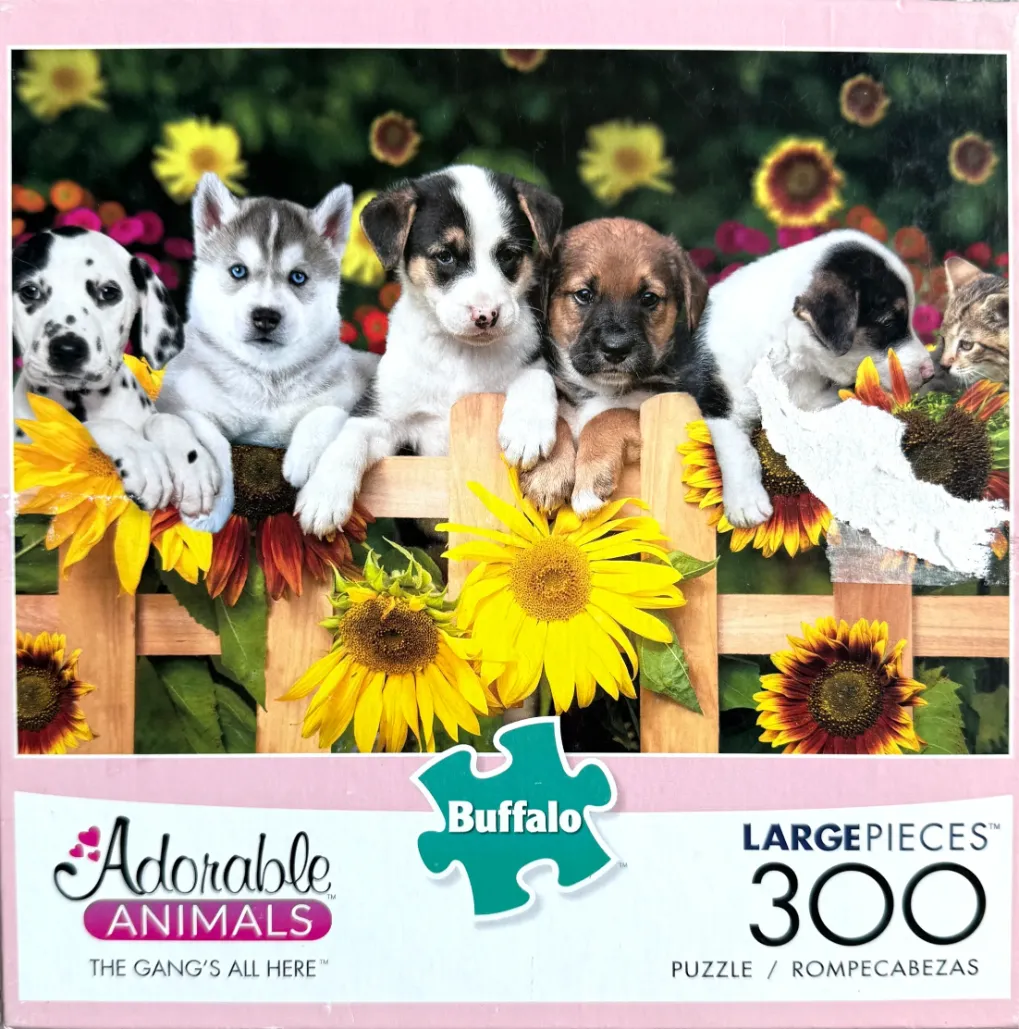 A group of four puppies and one kitten peering over a wooden fence in a sunflower garden.