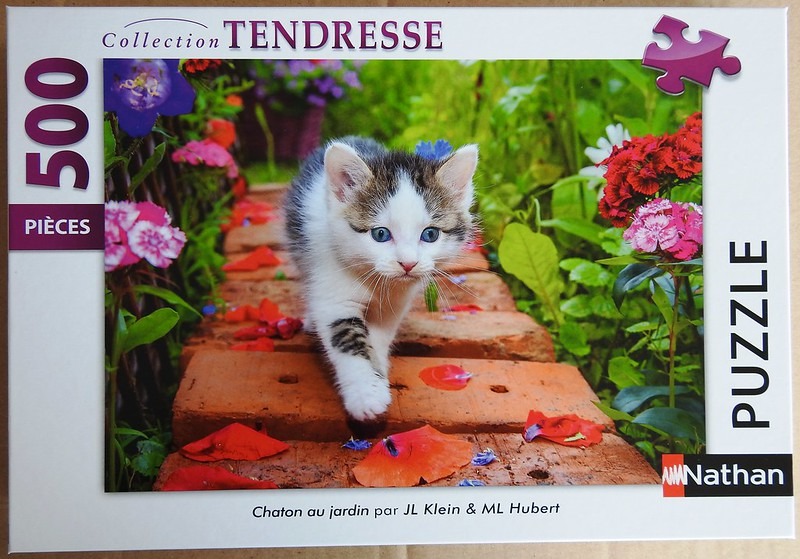 A fluffy tabby and white kitten walking along a red brick garden path surrounded by colorful flowers.