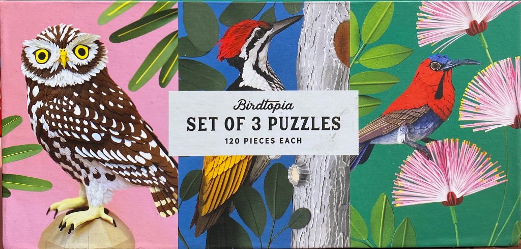 Three vertical panels featuring stylized, vibrant illustrations of an owl, a woodpecker, and a scarlet-backed flowerpecker.