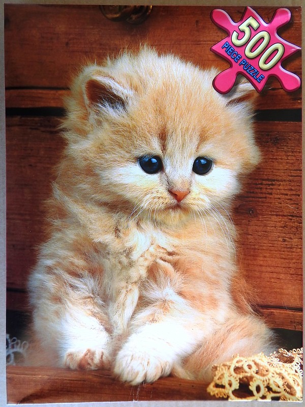 Fluffy light ginger kitten sitting against a rustic dark wooden wall.