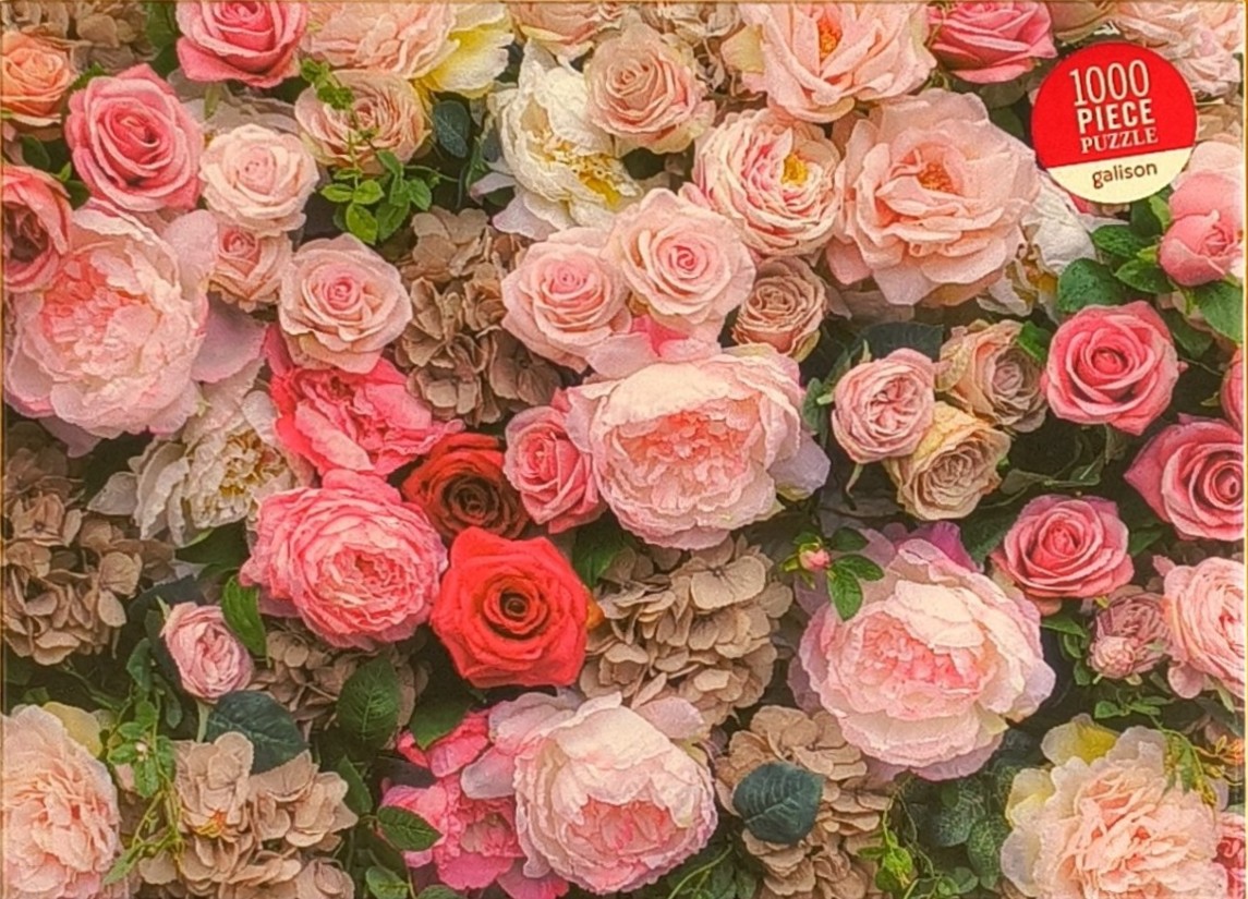 A dense wall of blooming pink, peach, and cream-colored roses and hydrangea flowers.