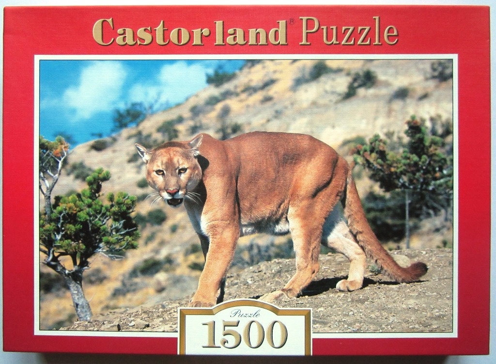 A mountain lion standing on a rocky slope against a backdrop of hills and a bright blue sky.
