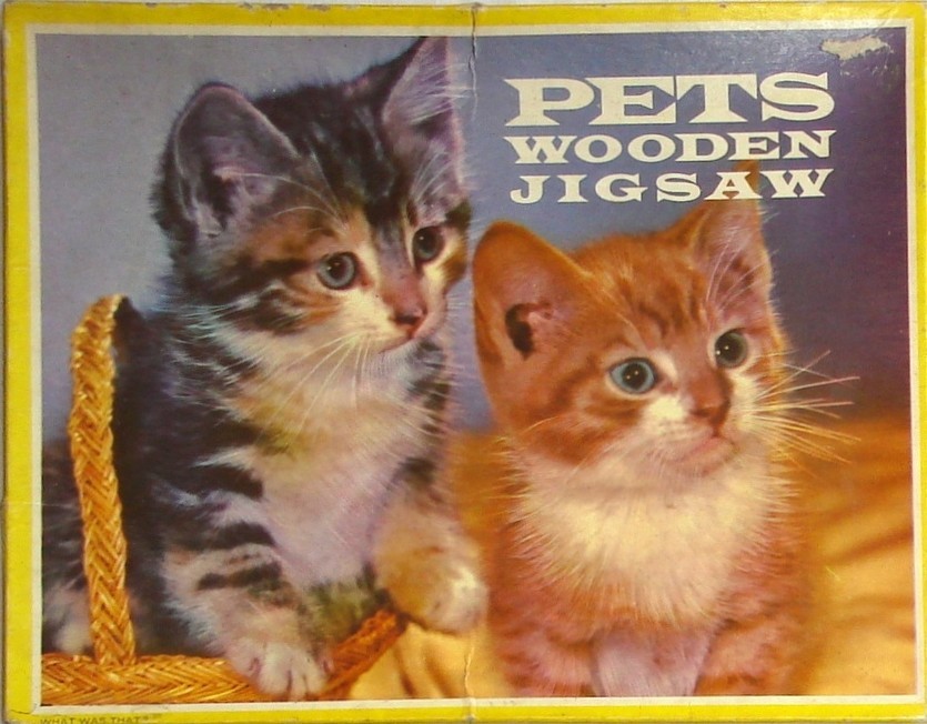 Two kittens, one in a wicker basket and one sitting beside it, against a dark blue background.