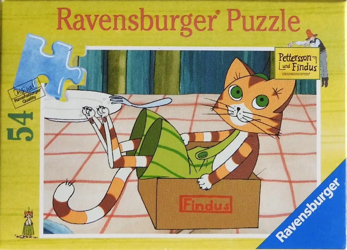 Findus the cat sitting in a cardboard box on a checkered tablecloth