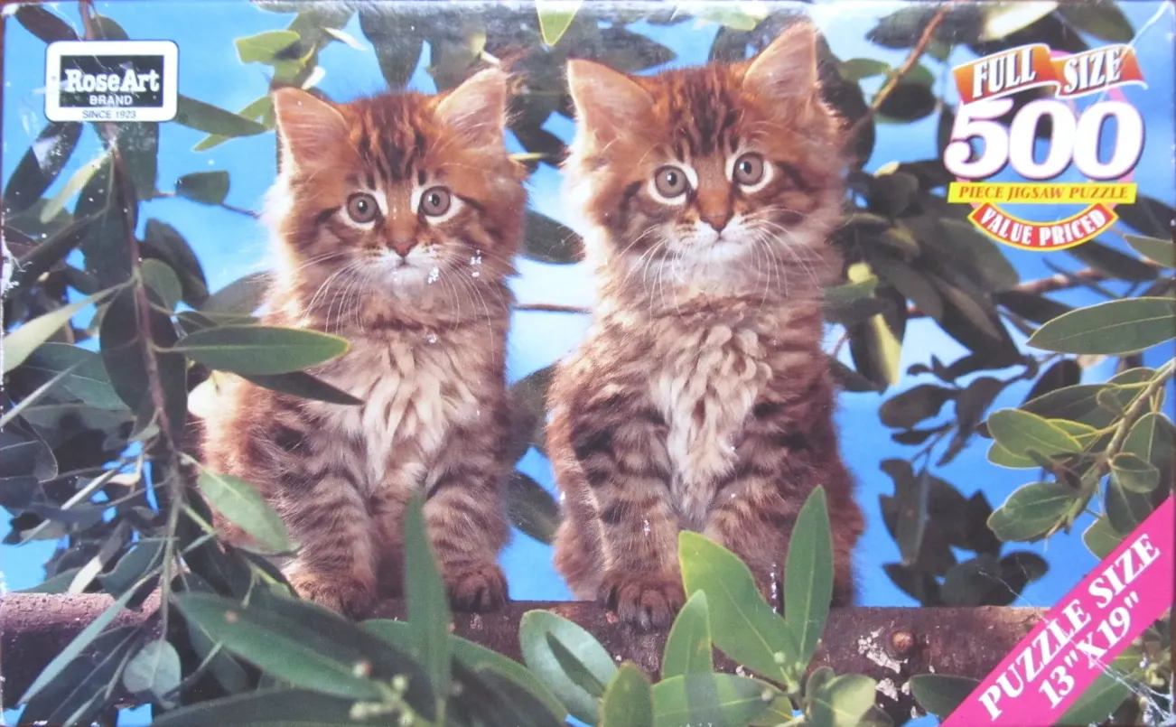 Two fluffy tabby kittens sitting on a tree branch against a bright blue sky