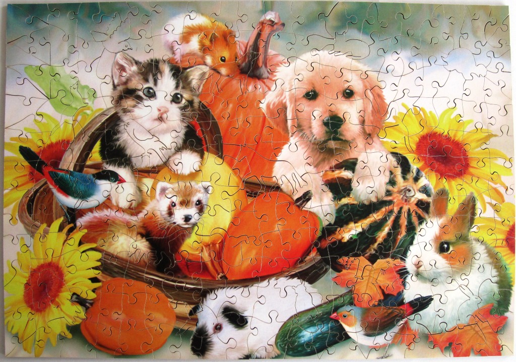 A group of small animals including a puppy, kitten, hamster, and rabbit gathered with autumn pumpkins and sunflowers.