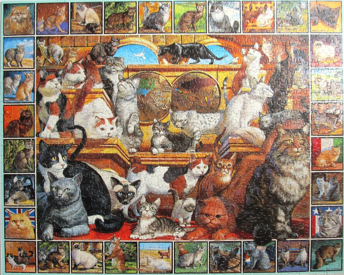 A collage illustration featuring many different breeds and colours of domestic cats arranged around a central world map.