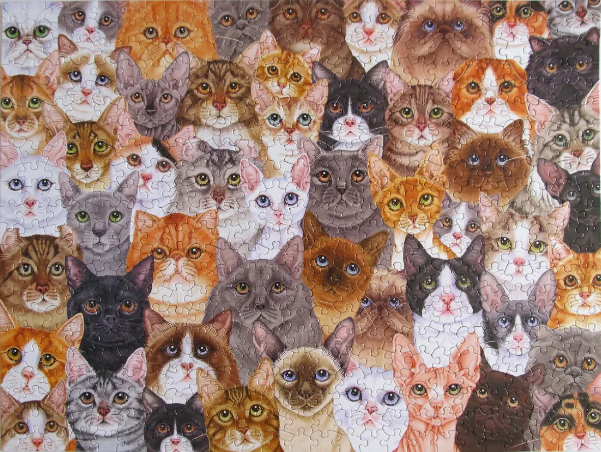 A dense illustration filled with the faces of many different cat breeds in various colors.
