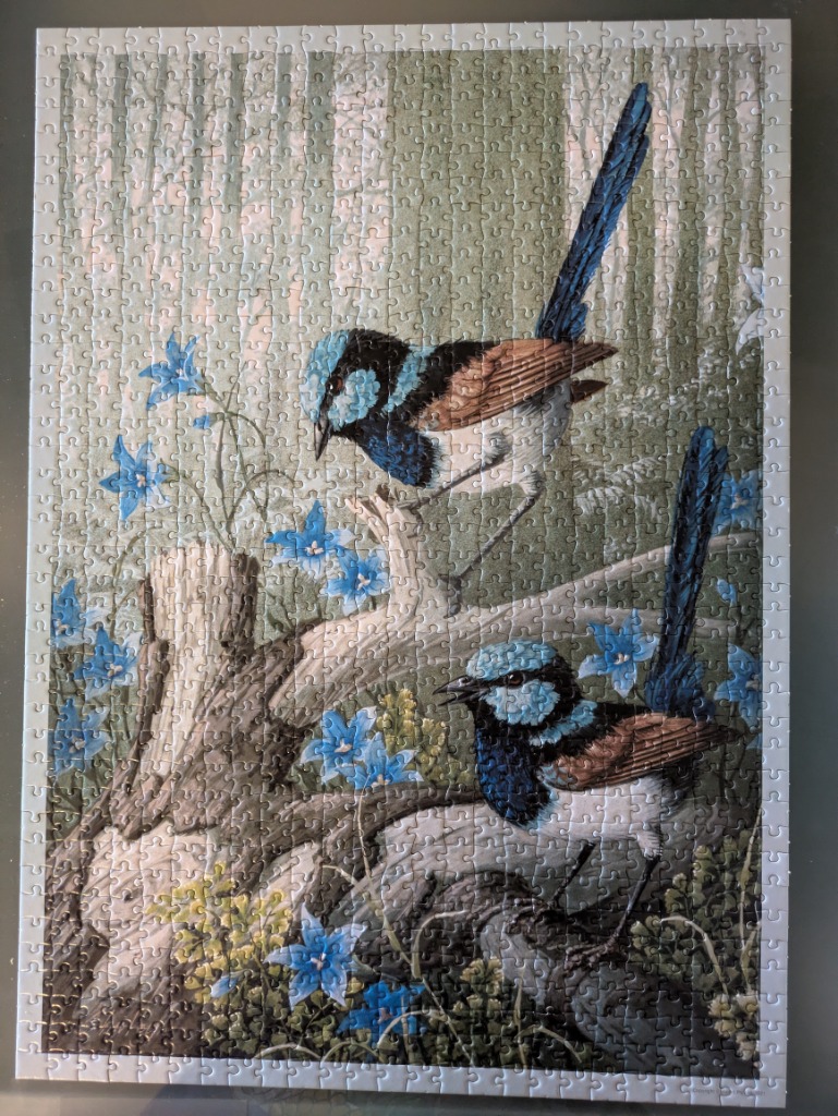 Two vibrant blue wren birds perched on a mossy log surrounded by blue wildflowers in a misty forest.